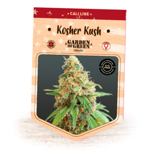 Kosher Kush fem. Garden of Green Seeds