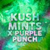 Kush Mints fem. Tramuntana Seeds