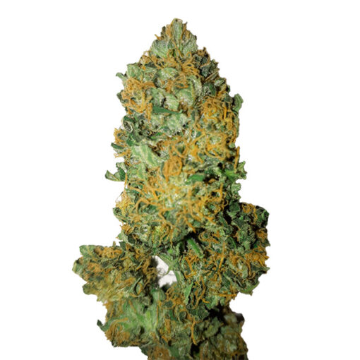 Lemon Diesel CBD+ CBD Buds