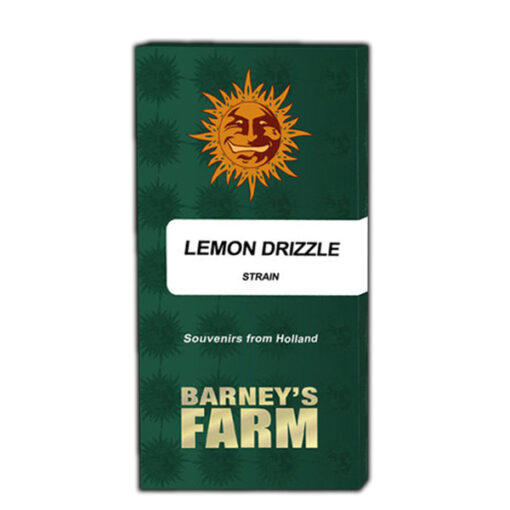 Lemon Drizzle fem. Barney's