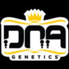 Lemon Skunk fem. DNA Genetics