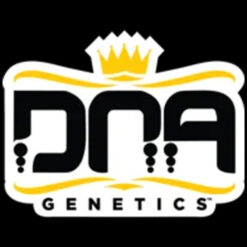Lemon Skunk fem. DNA Genetics