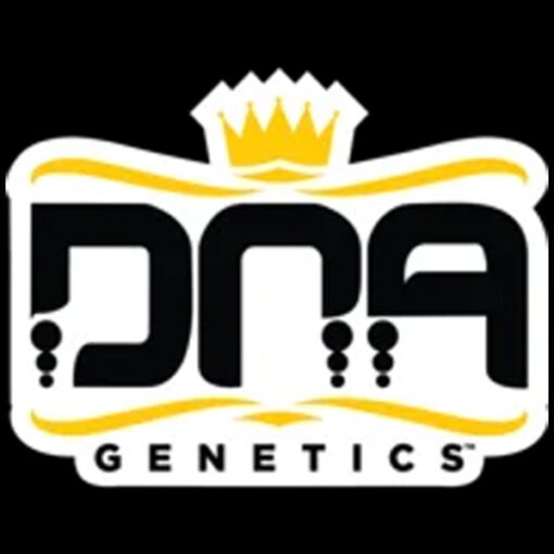 Lemon Skunk fem. DNA Genetics