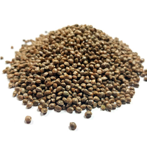 Lemon Skunk Fast Granel 100 ud.