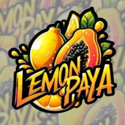 LemonPaya  5 u. fem. FastBuds Seeds