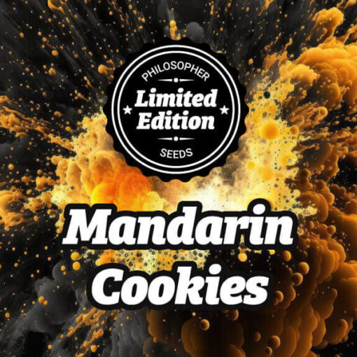 Mandarin Cookies 5 u fem  Philosopher