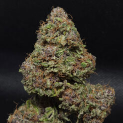 Midnight Bessie Autoflower fem. Elev8 Seeds