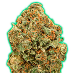 Monster Moby fem. Monster Genetics