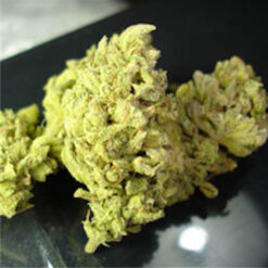 No Name fem. Medical Seeds
