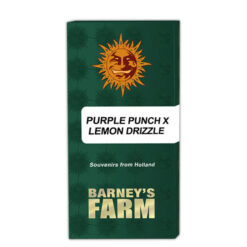 Purple Punch x Lemon Drizzle fem. Barney's