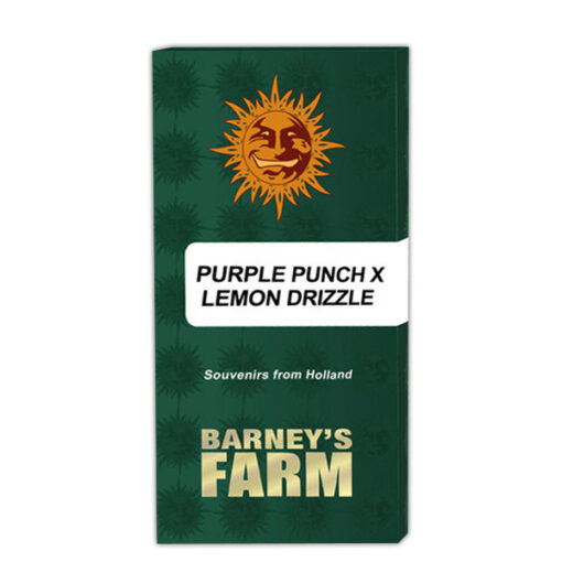Purple Punch x Lemon Drizzle fem. Barney's