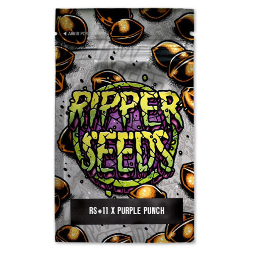 RS11 x Purple Punch 3 u. fem. Ed. Lim. Ripper Seeds