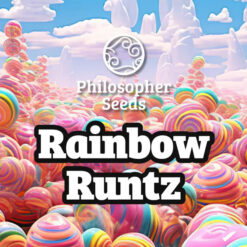 Rainbow Runtz 3 u fem  Philosopher