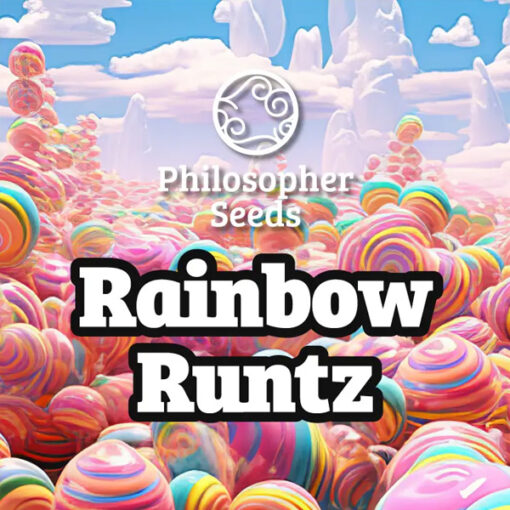 Rainbow Runtz 3 u fem  Philosopher