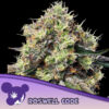 Roswell Code  3 u. fem Anesia