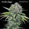 San Bacio Burger Advanced Seeds