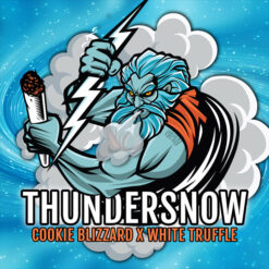 Thundersnow fem. Elev8 Seeds