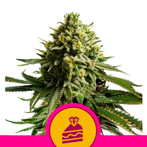 Wedding cake fem. Royal Queen