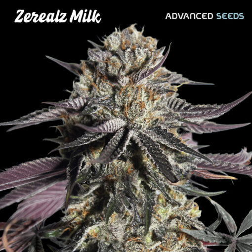 Zerealz Milk fem. Advanced Seeds