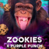 Zookies  5 u. fem. Tramuntana Seeds