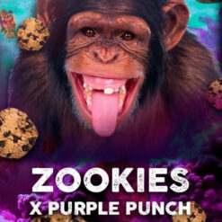 Zookies  5 u. fem. Tramuntana Seeds