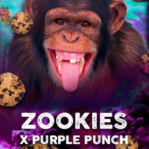 Zookies  5 u. fem. Tramuntana Seeds