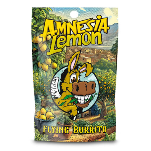 CBD Hash Flying Burrito Amnesia Lemon 10 gr.
