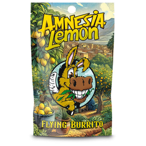 CBD Hash Flying Burrito Amnesia Lemon 25 gr.