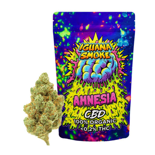 Amnesia 5 gr. Iguana Smoke