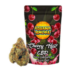 Cherry Haze 3 gr. Iguana Smoke