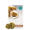 Cbd Alchemy Blondie 20% 1 gr.