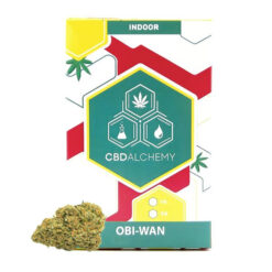 Cbd Alchemy Indoor Obi-Wan 1 gr.