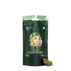 Goodies Bubble Gum 1 gr.