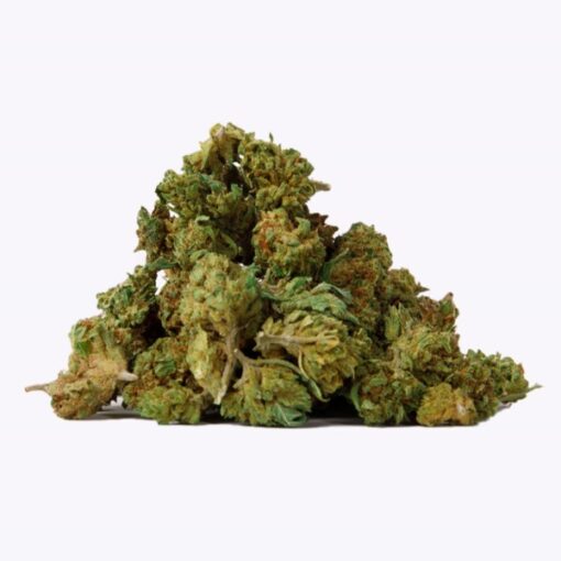 Gorilla Grillz Green House Small Buds - immagine 2