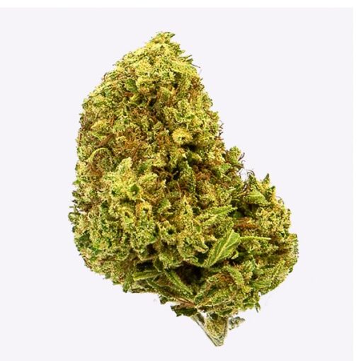 Gorilla Grillz Outdoor Cherry Kush - immagine 2