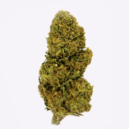 Gorilla Grillz Outdoor Lemon Haze - immagine 2