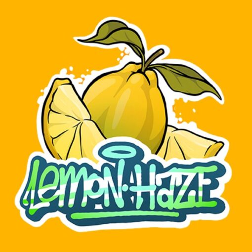 Gorilla Grillz Outdoor Lemon Haze - immagine 3