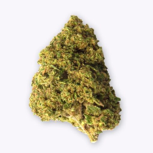 Gorilla Grillz Outdoor Zkittlez - immagine 2