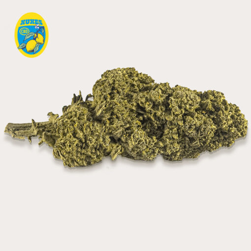 Xuxes Lemon 3 gr. - immagine 2