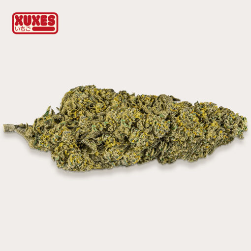 Xuxes Strawberry 3 gr. - immagine 2