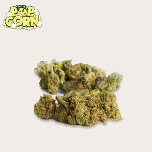 Xuxes Pop Corn Green Sour 10 gr. - immagine 2