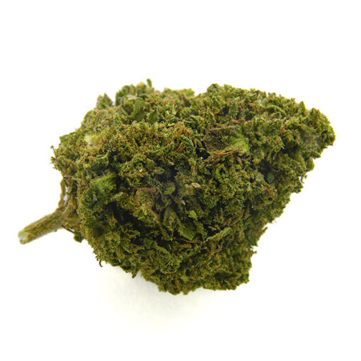 Bee Products Cheese Poison 5 gr. - immagine 2