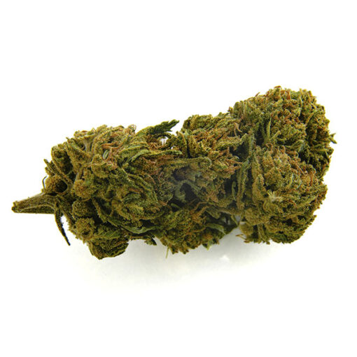 Bee Products Gelato 3 gr. - immagine 2