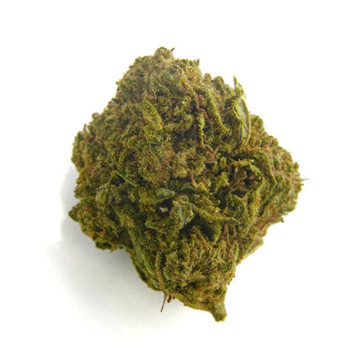Bee Products Bubble Gum 10 gr. - immagine 2