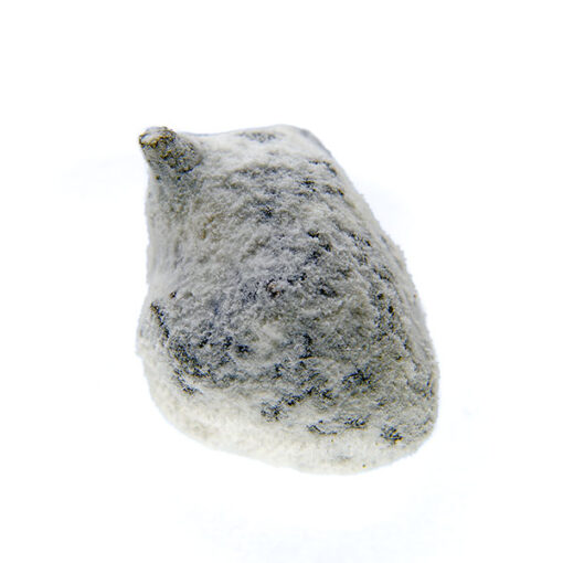 Bee Products CBD Ice Rock 3 gr. - immagine 2