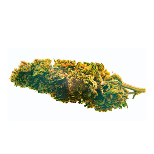 Bee Products Blueberry 5 gr. - immagine 2