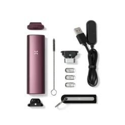 PAX Plus Elderberry Complete Kit