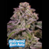 Auto Hollywood Rain  fem Anesia