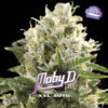 Auto Moby-D XXL  fem BSF Seeds