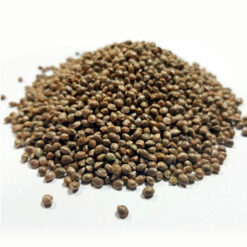 Auto Purple Punch Granel 100 ud.